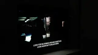 The Real Truth: A80J Oled or C6 Oled?